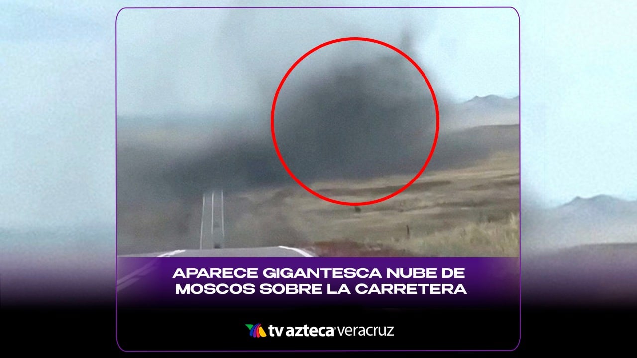 ¡SEÑAL APOCALÍPTICA! Aparece GIGANTESCA nube de MOSCOS sobre la carretera (+VIDEO)