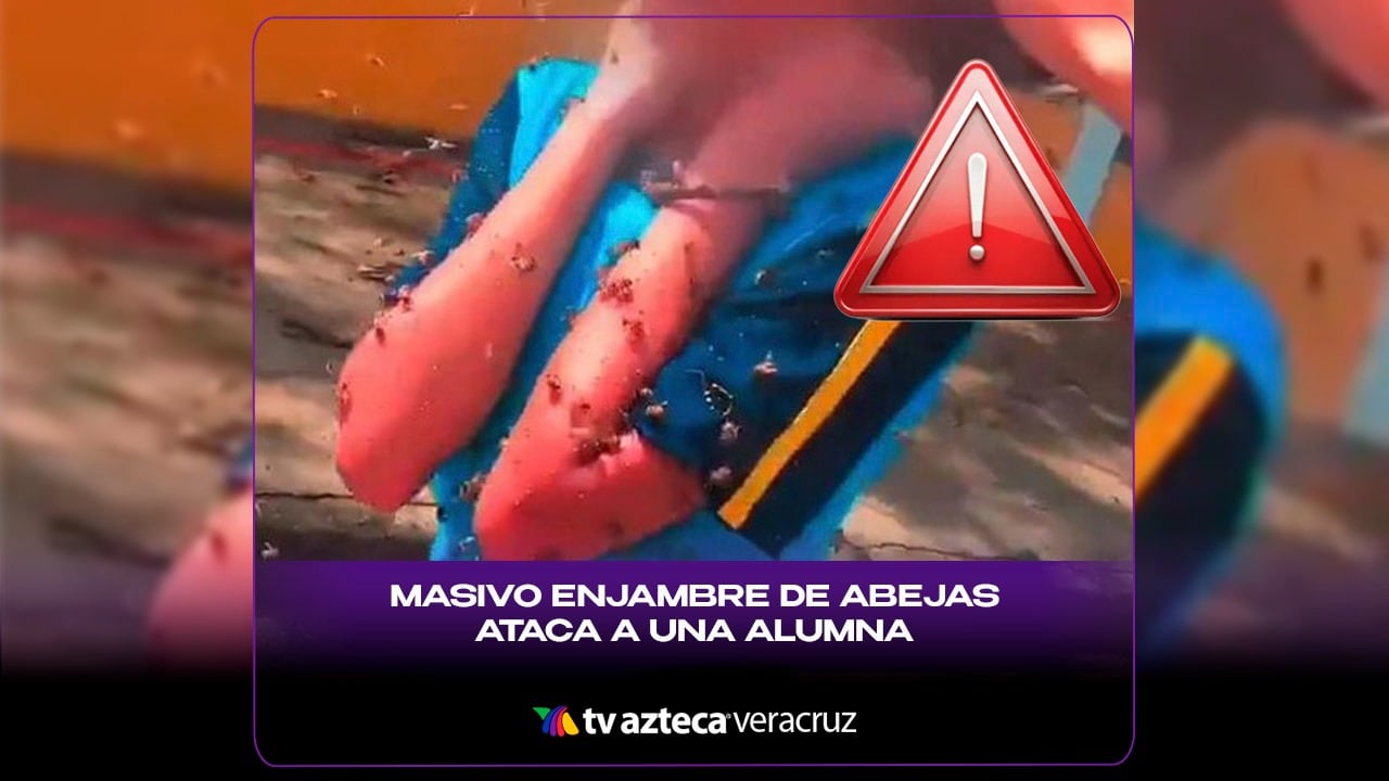¡Imágenes fuertes! MASIVO ENJAMBRE de abejas ataca a una alumna frente a una escuela