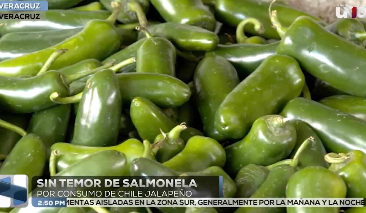 Sin temor a salmonela en Veracruz