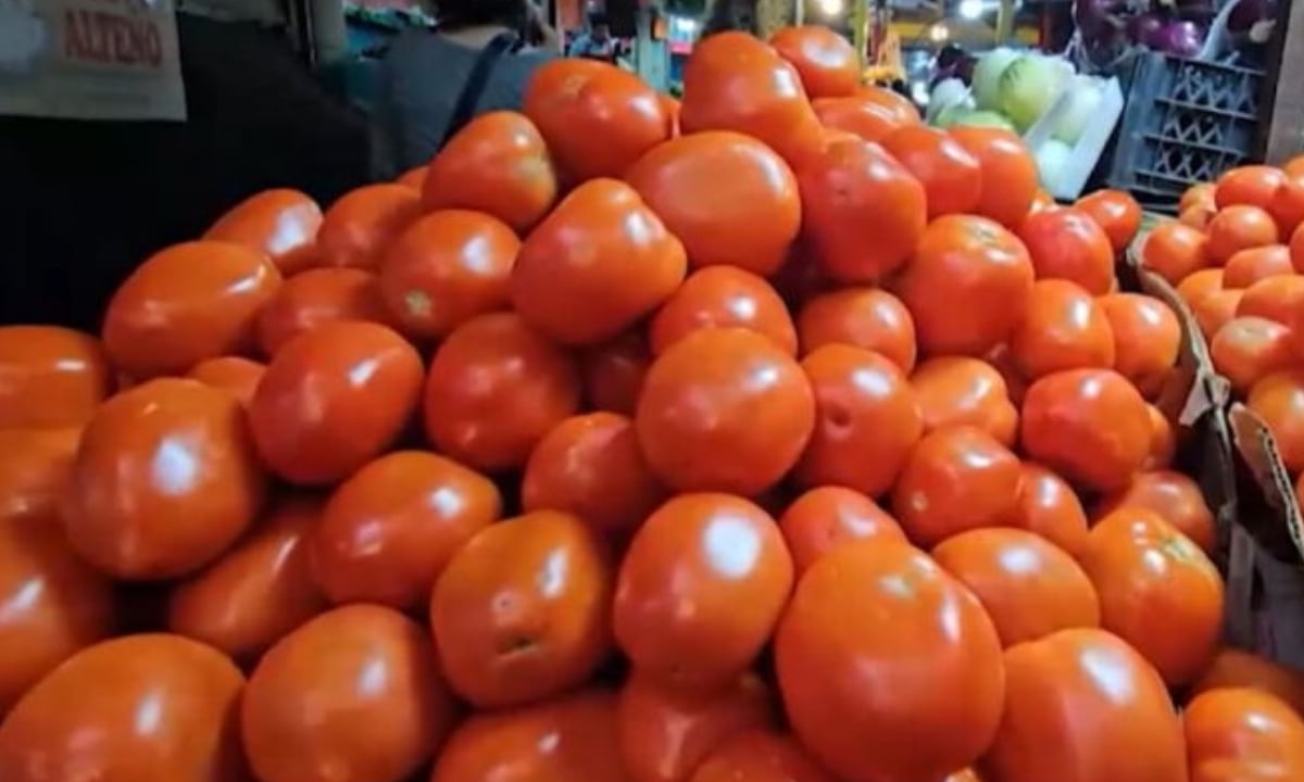 Tomate en Veracruz precio hoy