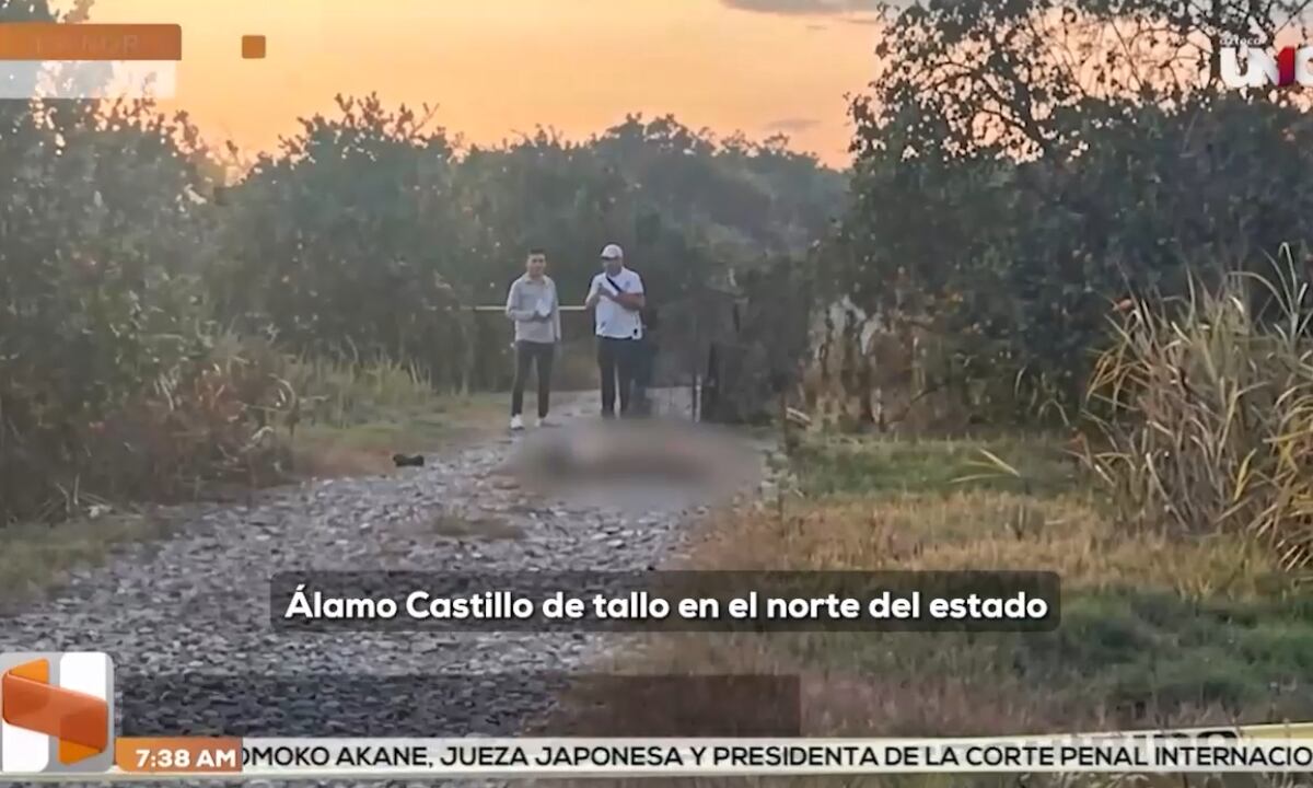 ¡MACABRO HALLAZGO! Localizan a hombre sin vida en una brecha de carretera en Veracruz (+VIDEO)