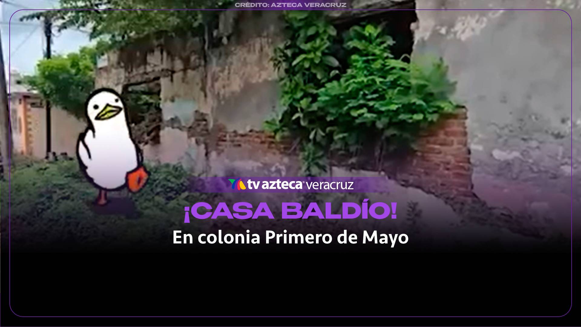 Vecinos denuncian basura y llantas acumuladas en un predio de Primero de Mayo.