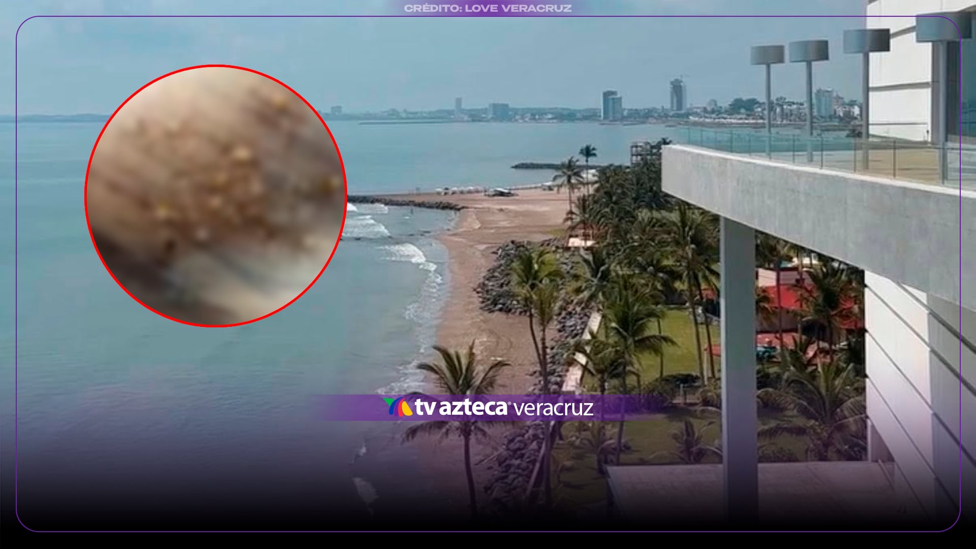 ¡QUÉ ASCO! Captan NIDO de CUCARACHAS en comedores de conocido centro comercial de Boca del Río | +VIDEO