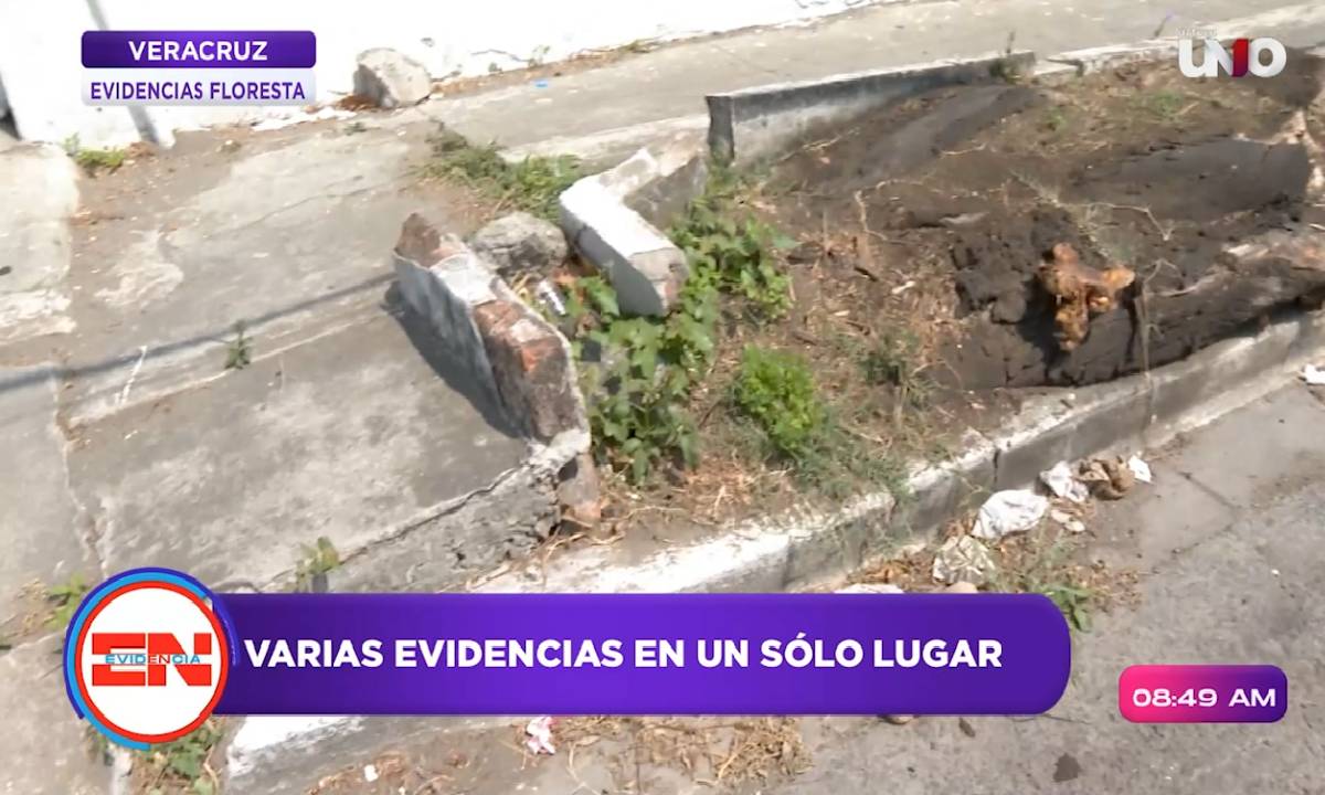 Banquetas quebradas en Floresta.