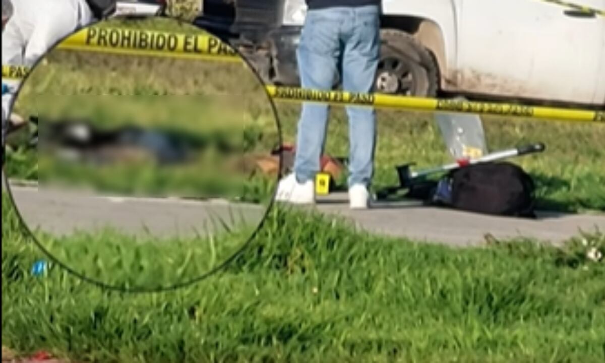 ¡FATAL! FILTRAN fotos de hombre MUERTO tras BRUTAL ataque de jauría de perros en Hidalgo