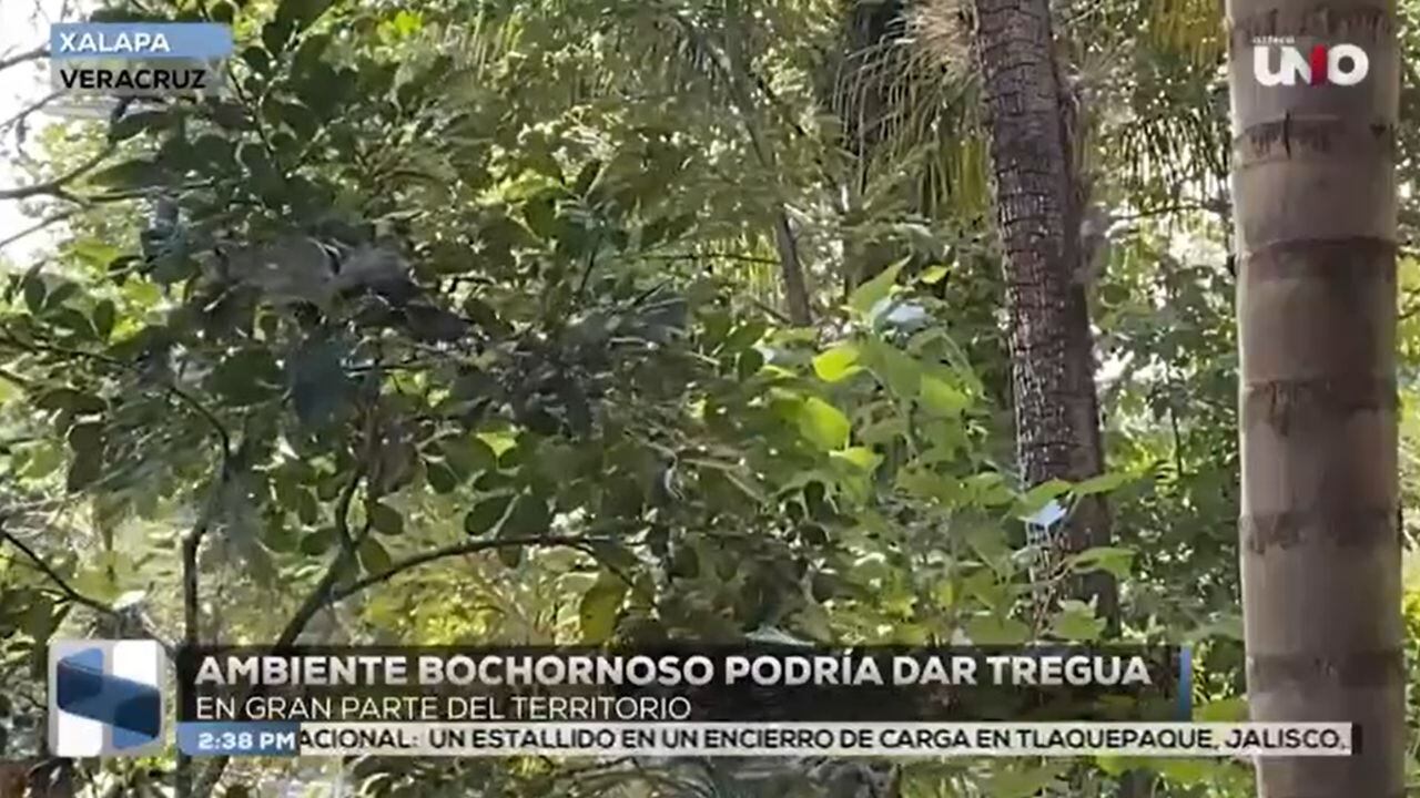 El ambiente bochornoso podría disminuir durante los próximos días por el incremento de las precipitaciones