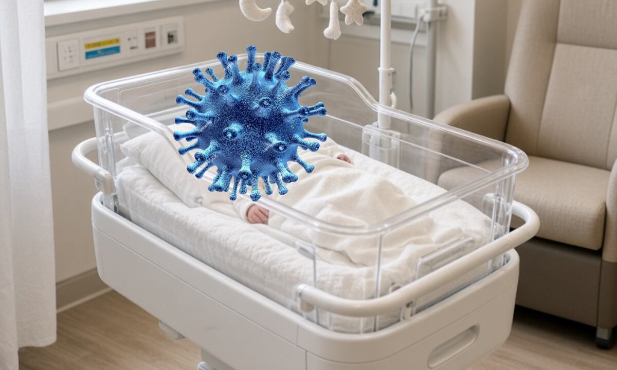 ¡ALARMA DE SALUD! Descubren GRAVE bacteria que ha provocado la MUERTE de 4 bebés en hospital de México; esto se sabe