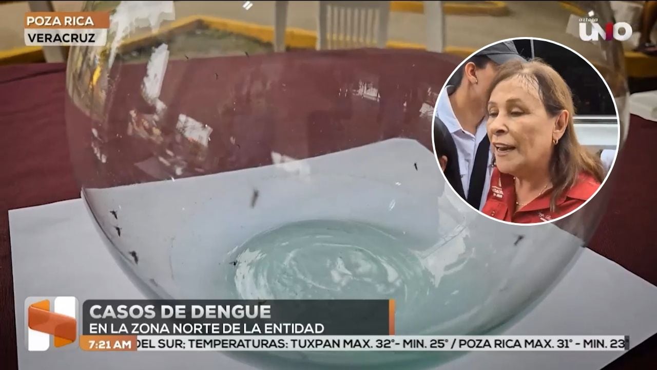 Habitantes de Poza Rica manifestaron preocupación por los casos de dengue registrados en la región
