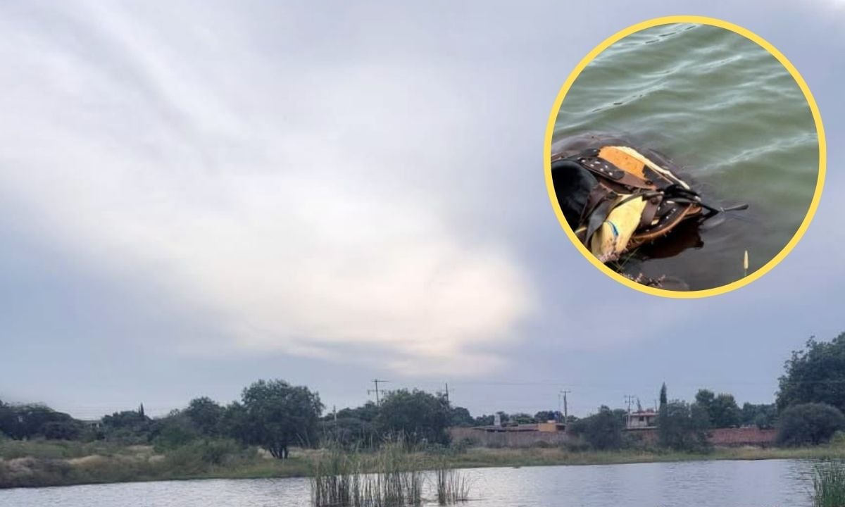 ¡ATROZ! Jinete cae a río Huichapan en Hidalgo; solo encontraron su caballo MUERTO (+FOTO)