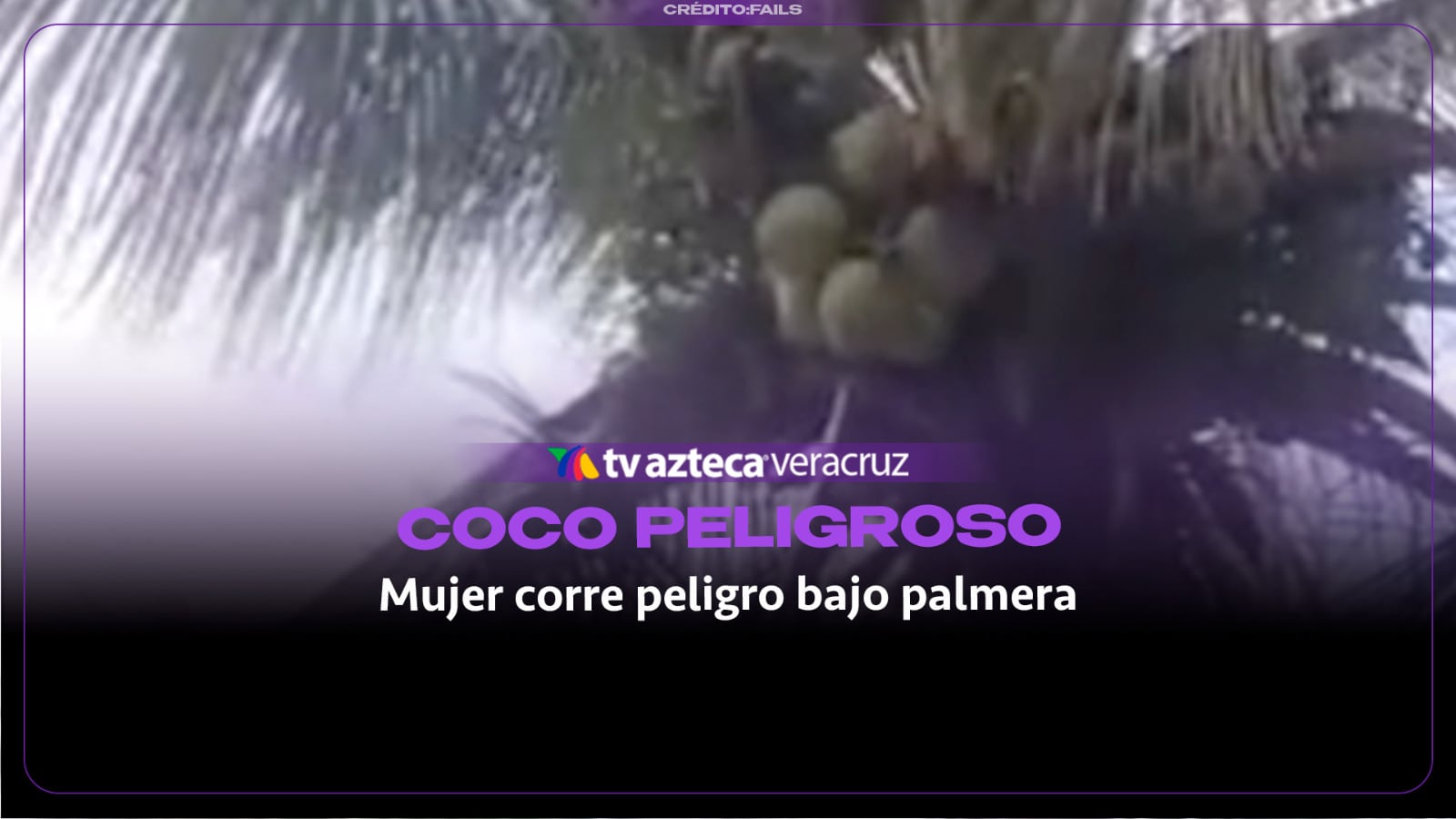 ¡DE ALTO RIESGO! Mujer es impactada por un coco en la cabeza al intentar bajarlo de una palma