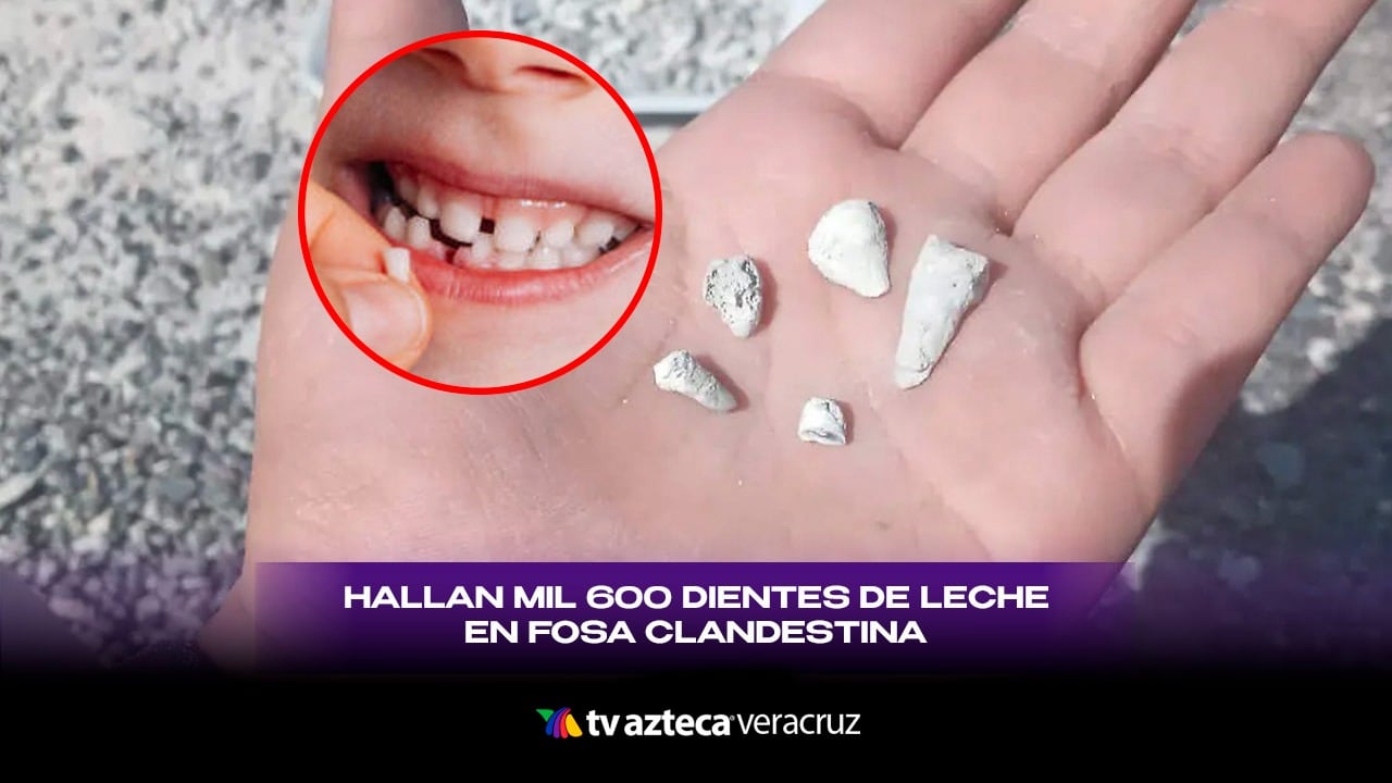 ¿Qué se sabe de los dientes de leche hallados en fosa de Michoacán?