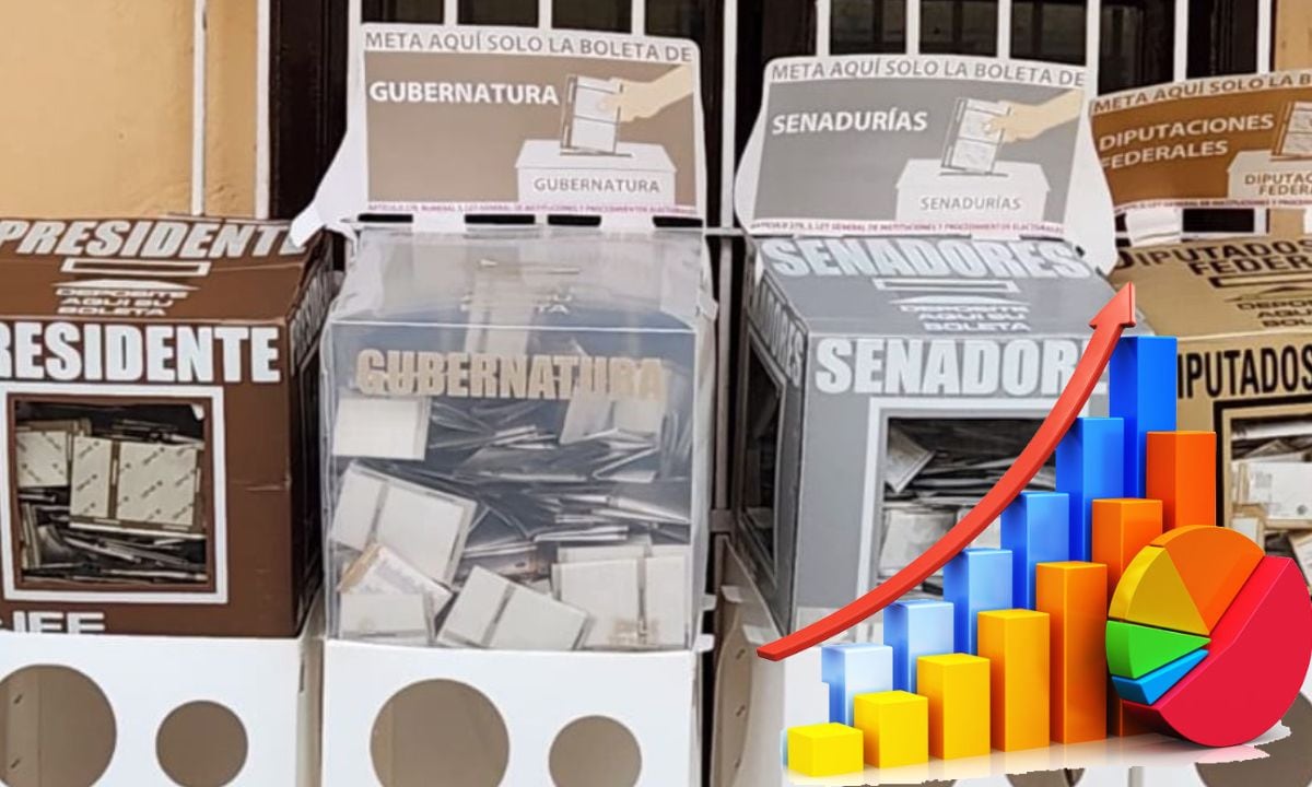 Ganador elecciones 2024