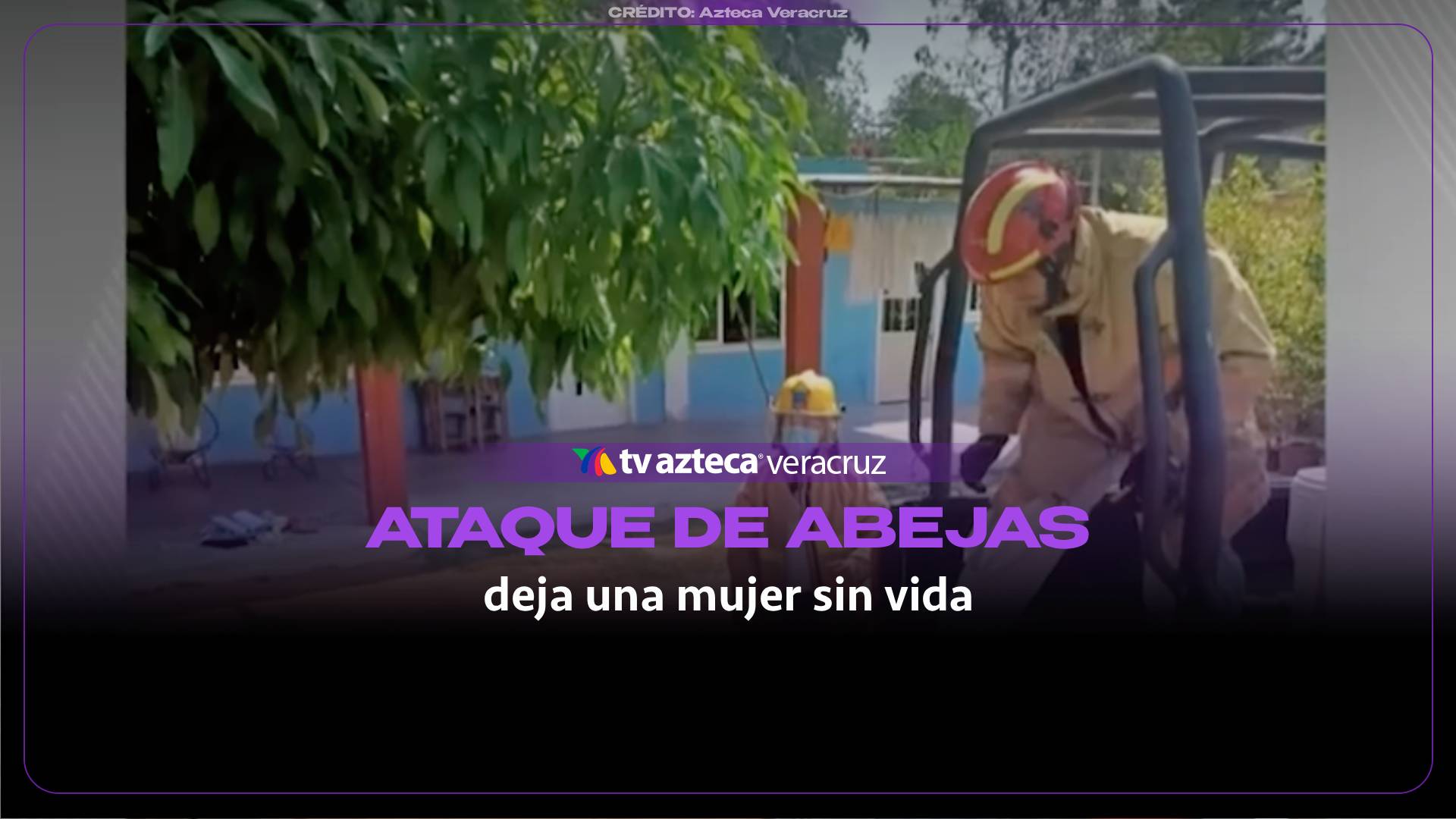 Ataque de abejas al sur de Veracruz deja a una mujer fallecida y otra persona lesionada