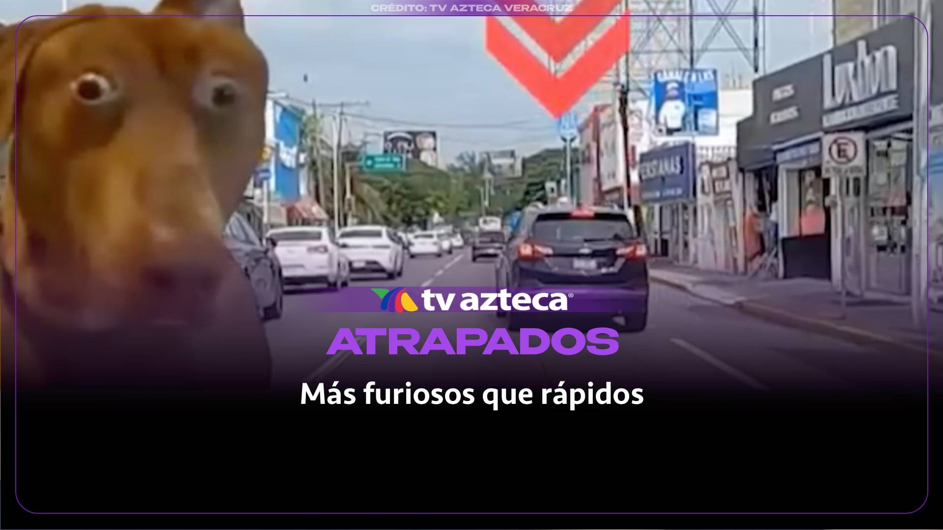 Más furiosos que rápidos