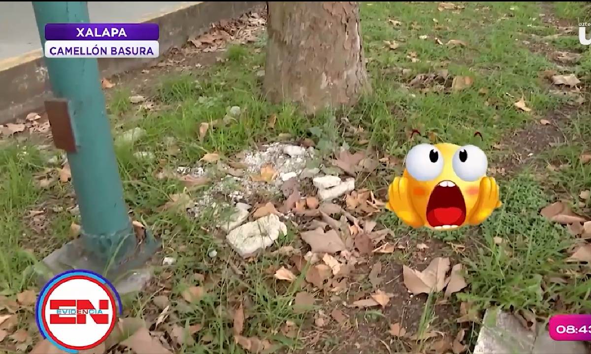 Basura en avenida central de Xalapa.jpg