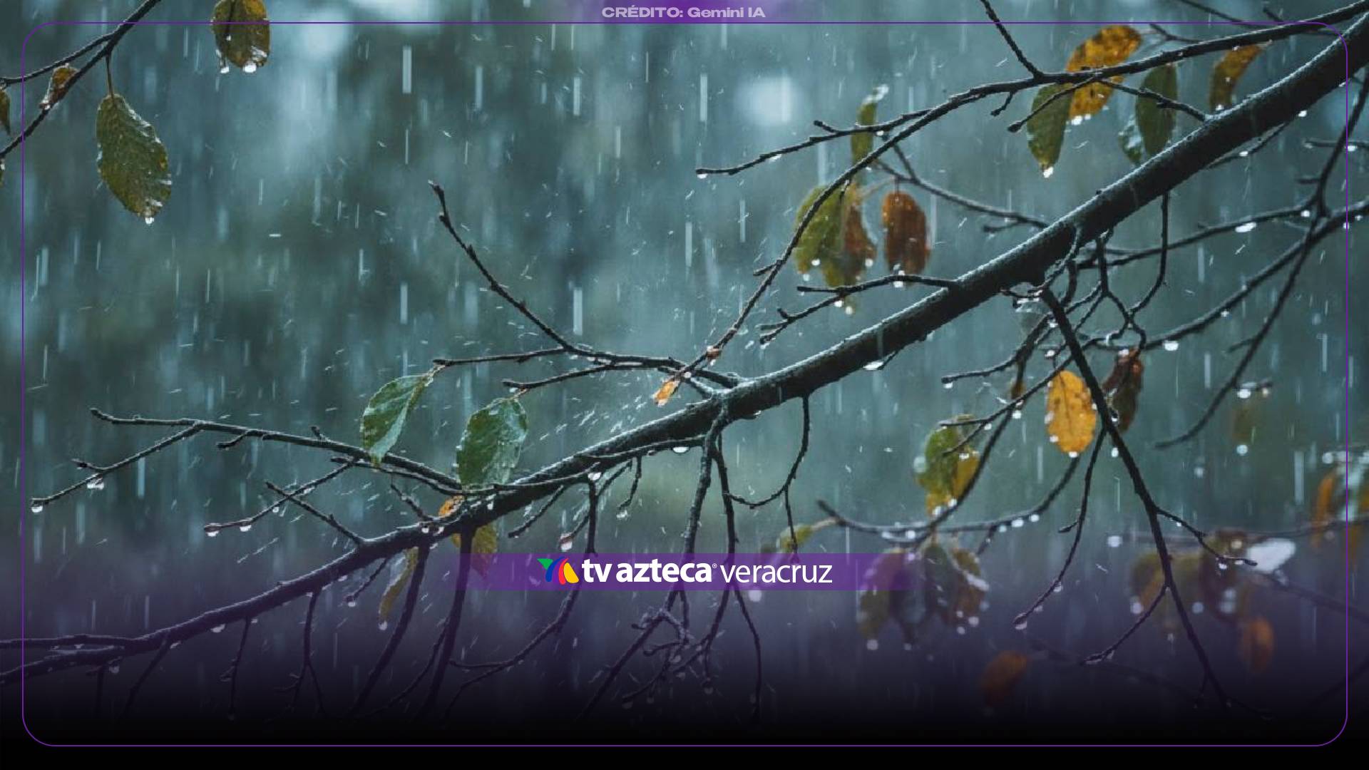 ¿Llevas el paraguas? Esta es la hora exacta de las lluvias en el estado de Veracruz hoy 7 de octubre de 2026