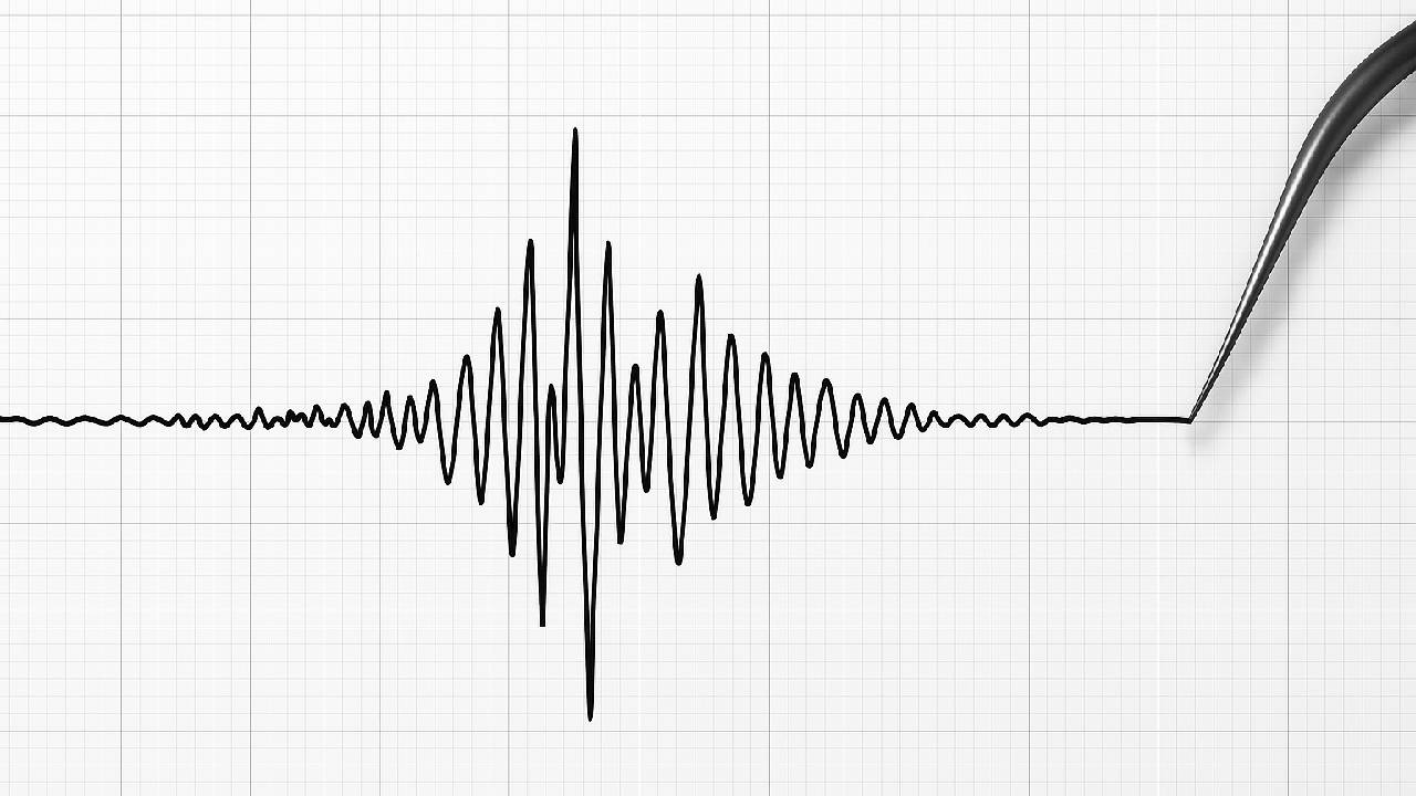 ¡Día movido! Sismo sacude a Veracruz hoy 28 de agosto de 2025, Día del Abuelo