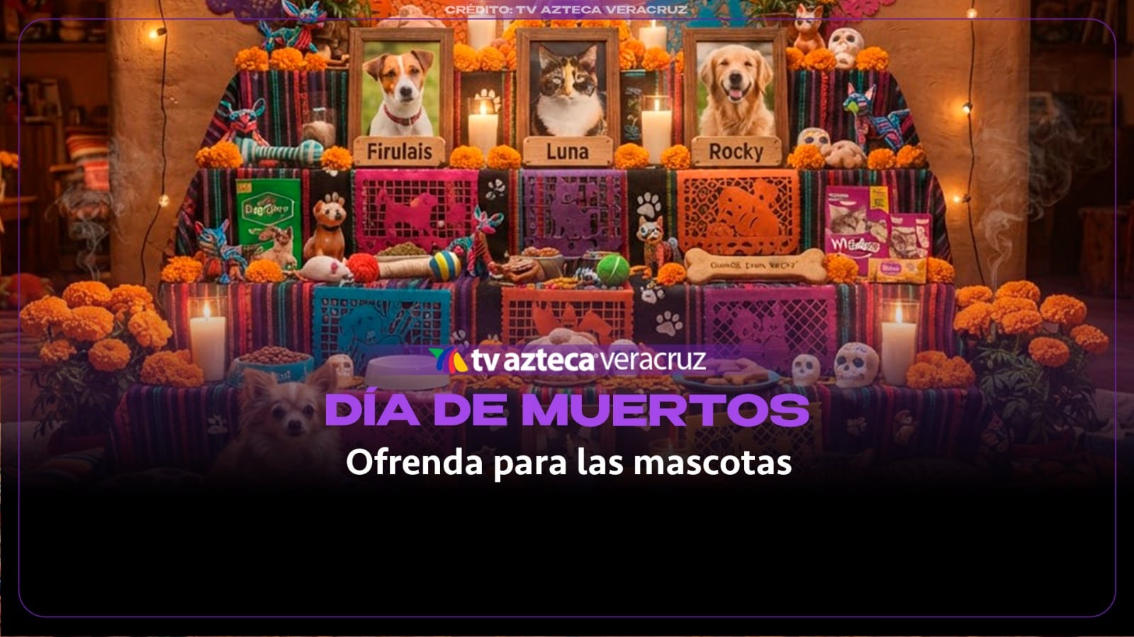 ¡NO TE EQUIVOQUES! Este día se debe colocar la ofrenda para las mascotas 