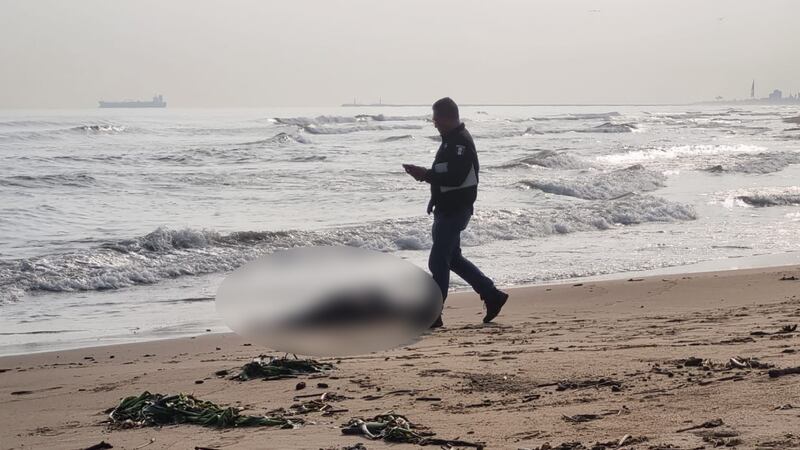 Hallan cadáver de hombre en playa de Coatzacoalcos