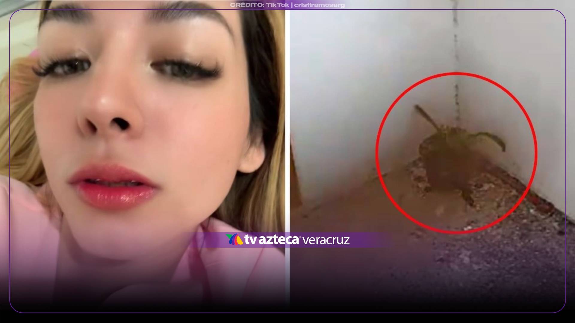 El clip muestra a la doctora mientras presenta un brillo labial.