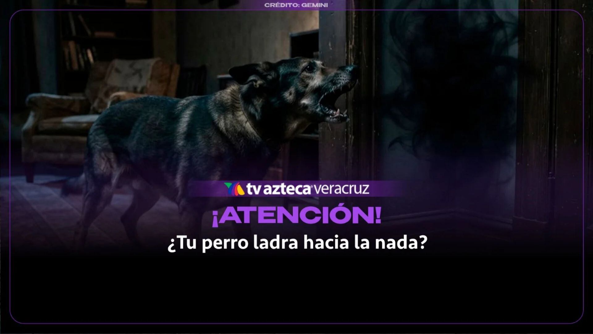 ¿Qué significa cuando un perro ladra a un lugar donde aparentemente no hay nadie?