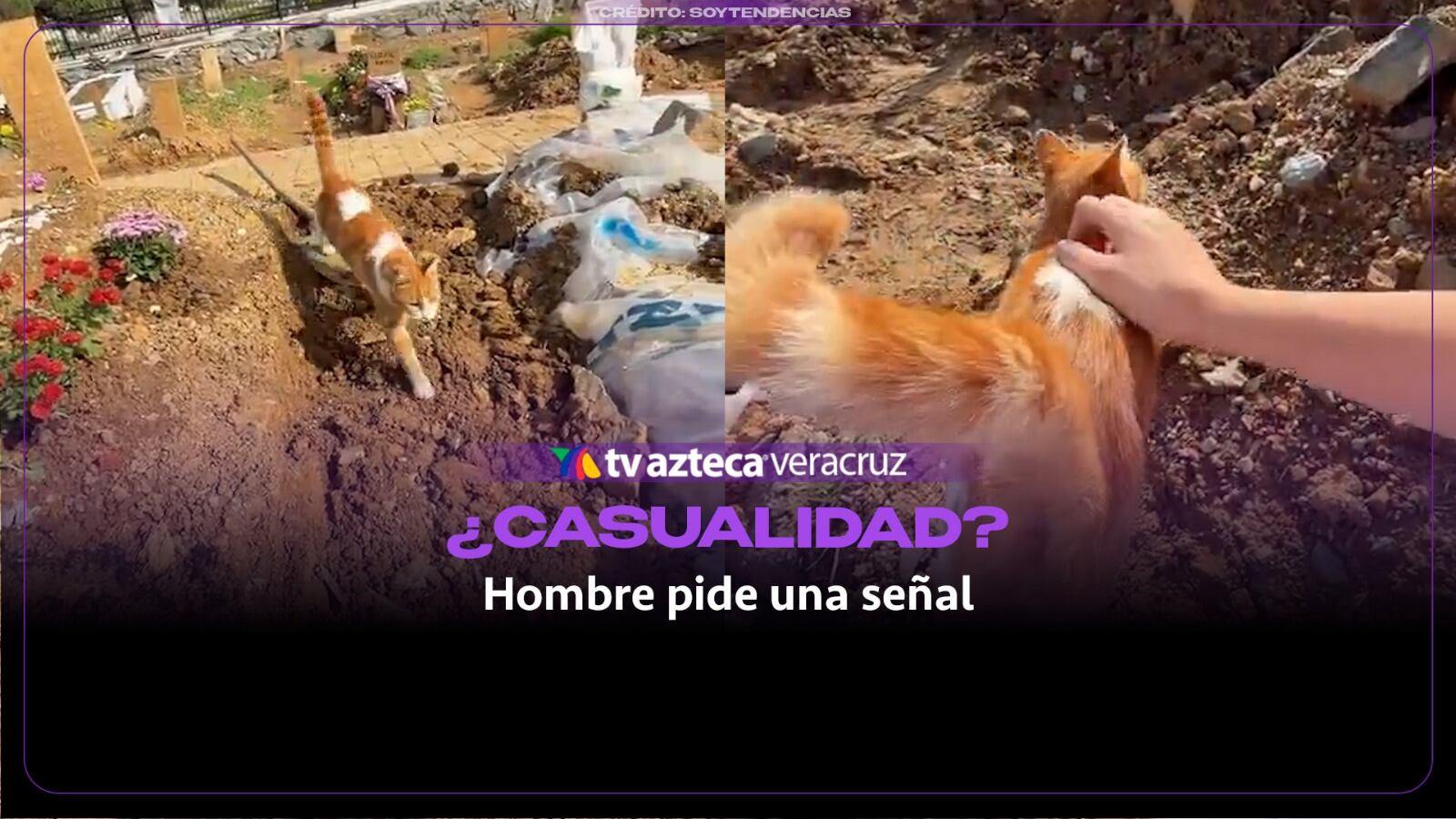 ¿CASUALIDAD? Hombre pide una señal a su padre fallecido y lo que apareció lo dejó helado (+VIDEO)