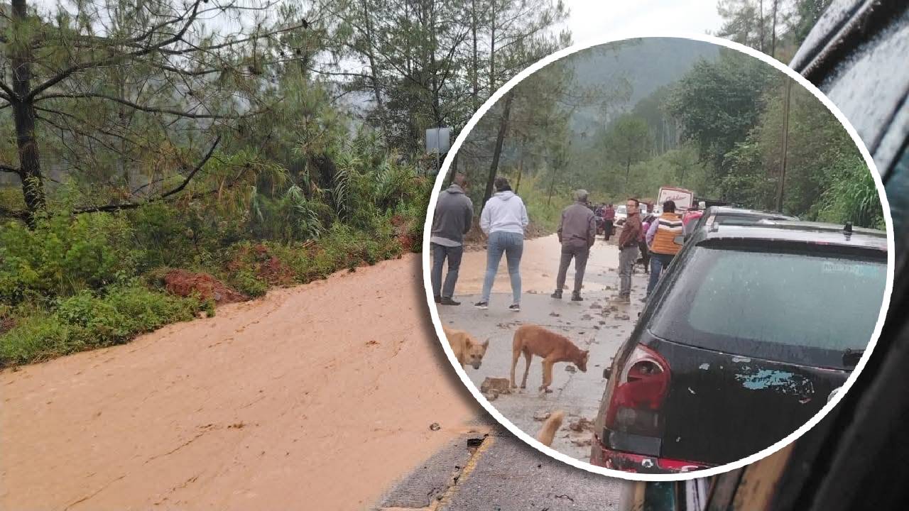 ¡CUIDADO! Tras lluvias, se registra DESLAVE de tierra en carretera de Veracruz; esta es la zona afectada