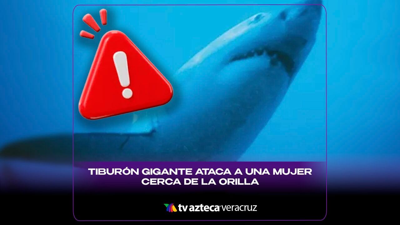 ¡Terror en el mar! TIBURÓN GIGANTE ataca a MUJER cerca de la orilla; así ocurrió